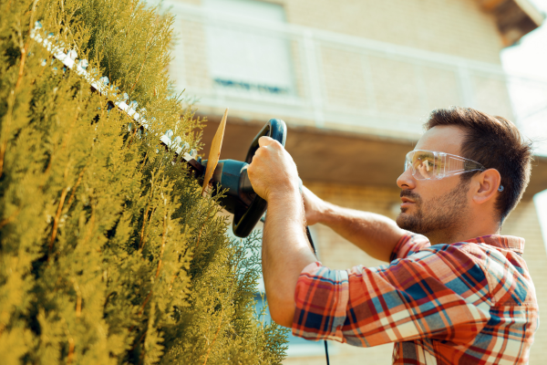 Dominando a Arte da Poda em Seu Espaço Verde